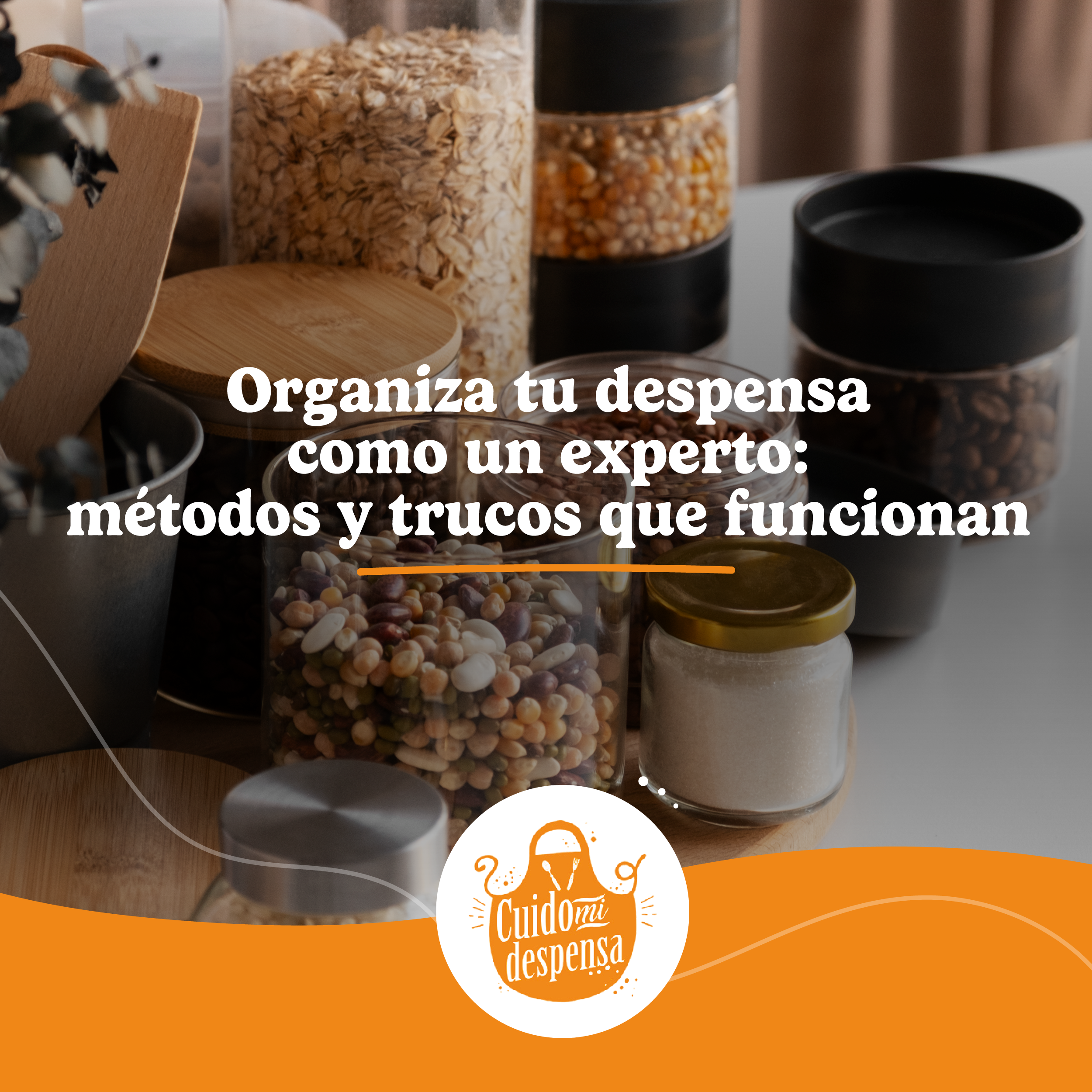 Organiza tu despensa como un experto - Banner 3