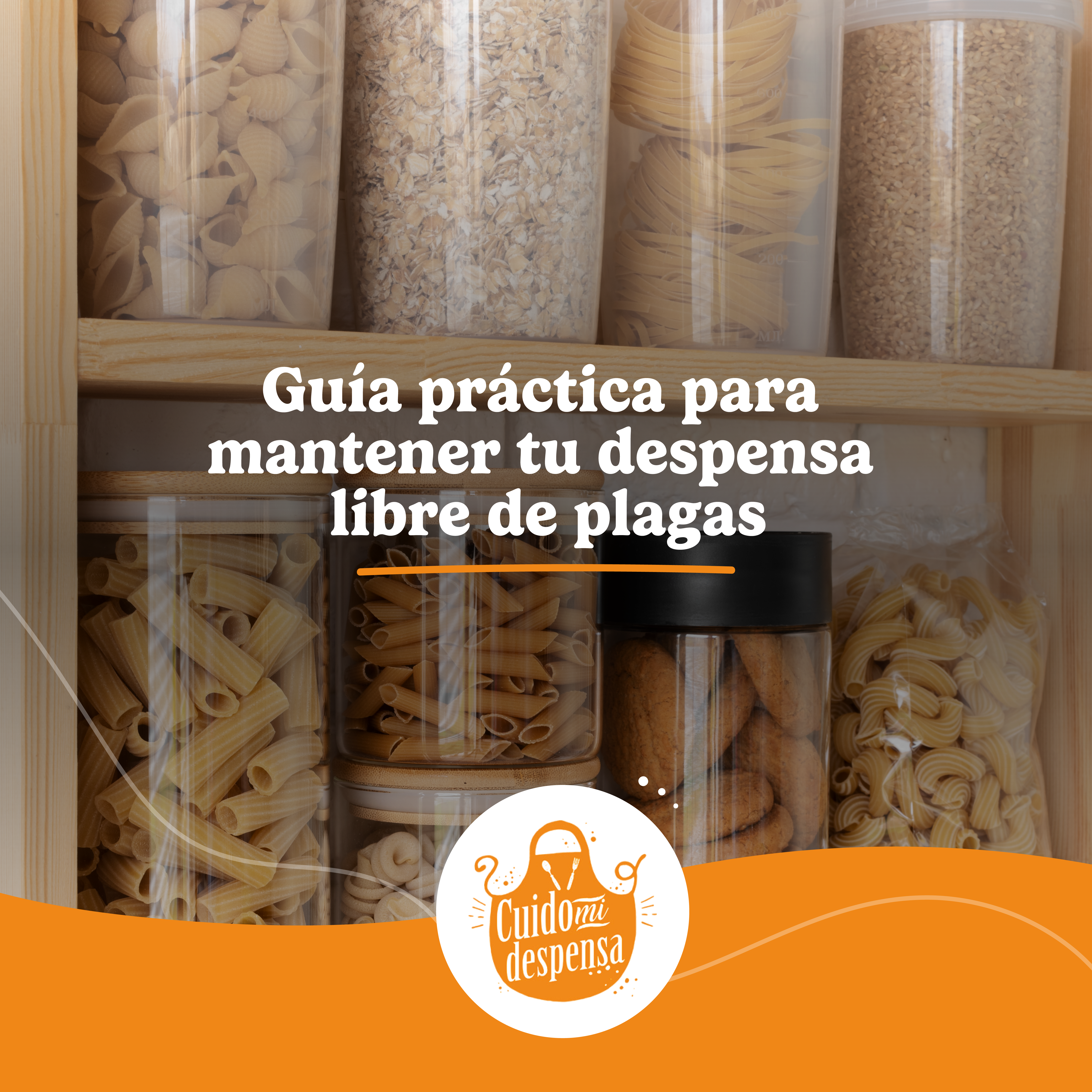 Guía práctica para mantener tu despensa libre de plagas