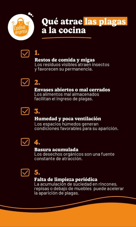 Infografía sobre qué atrae las plagas a la cocina: restos de comida y migas, envases abiertos o mal cerrados, humedad y poca ventilación, basura acumulada y falta de limpieza periódica.