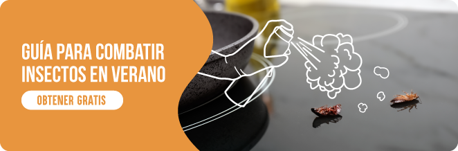 cuánto viven las moscas