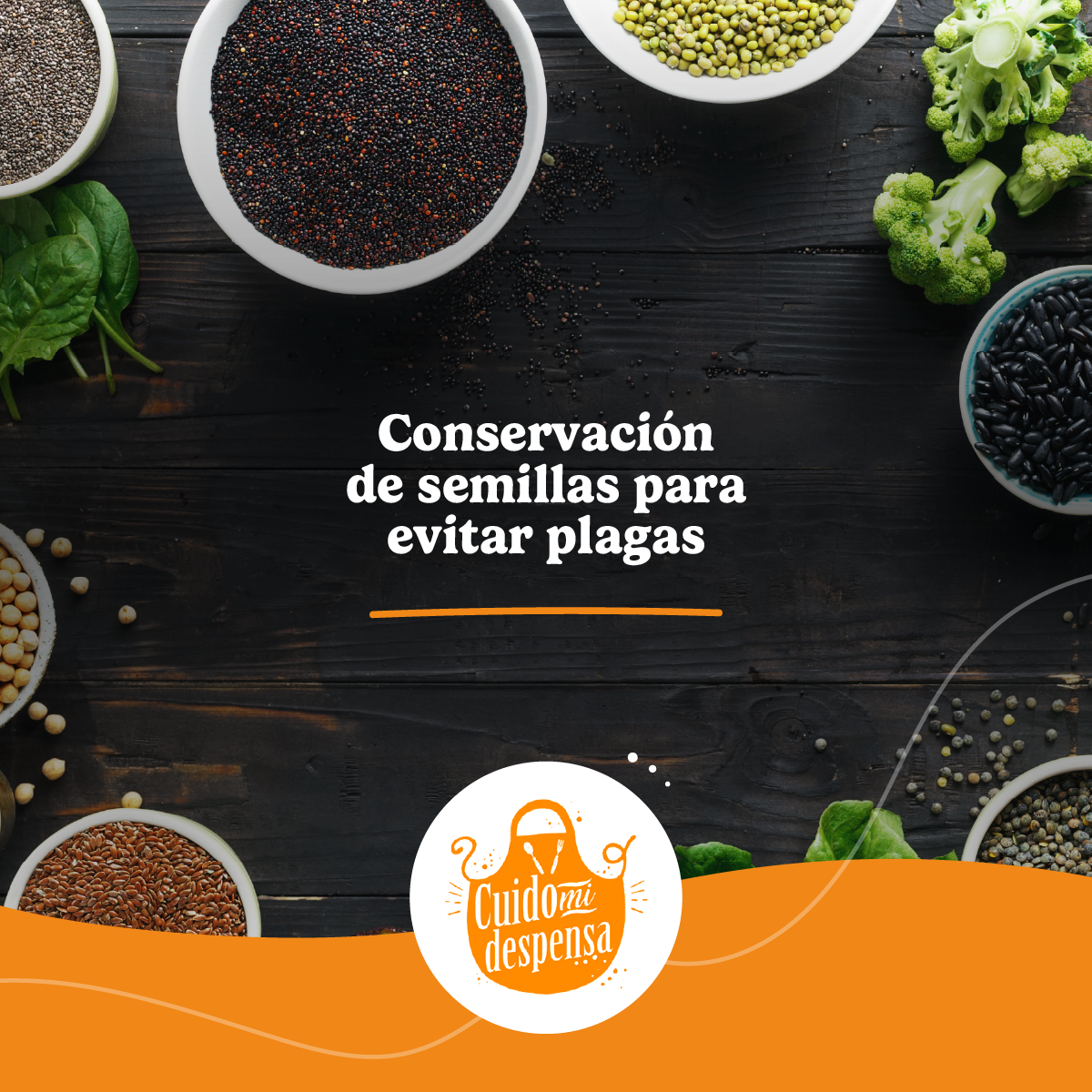 Conservación de semillas para evitar plagas