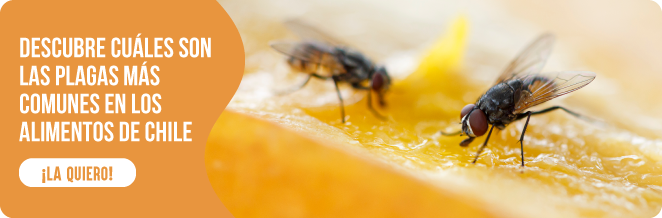 plagas comunes en los alimentos