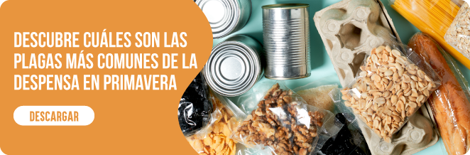 polilla del arroz