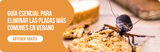 conservar alimentos