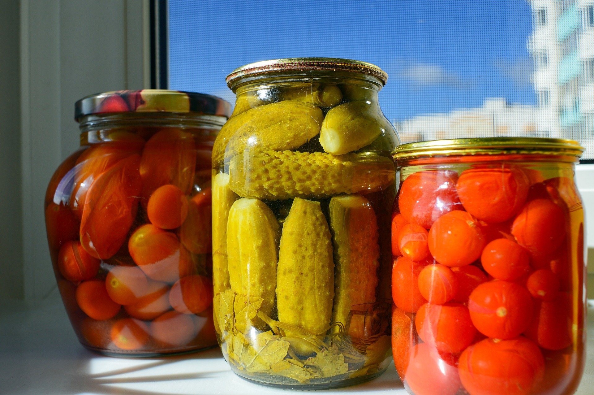 Alimentos