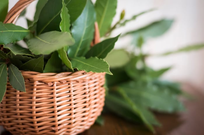 plantas en la cocina