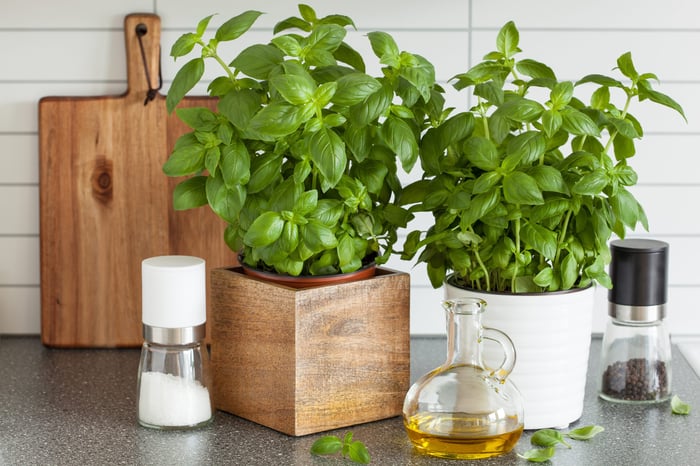 plantas en la cocina