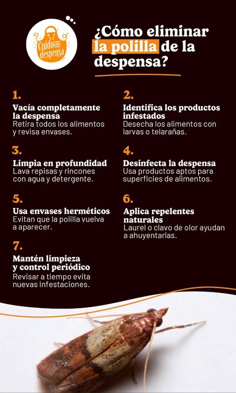 Infografía sobre cómo eliminar la polilla de la despensa con pasos de limpieza, desinfección y uso de envases herméticos