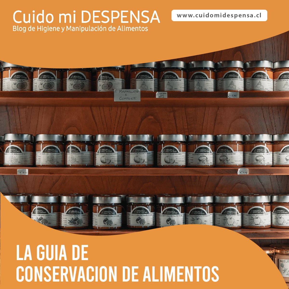 Conservación y Almacenamiento de Alimentos