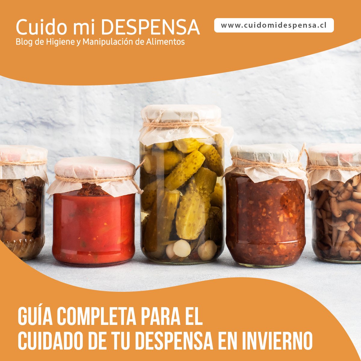 Guía completa para el cuidado de tu despensa en invierno