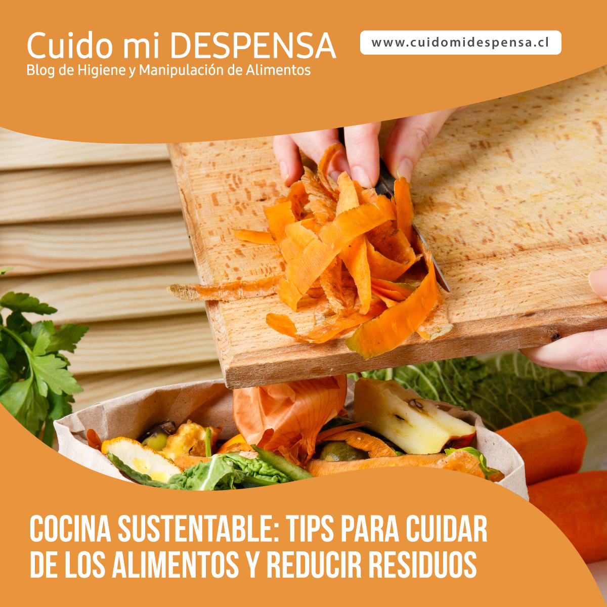 Comida Consciente - El Movimiento de Comida Consciente te invita a reducir  tus residuos en cada oportunidad, por eso te invitamos a llevar tu propio  tupper, bolsa, cubiertos y tomatodos para que