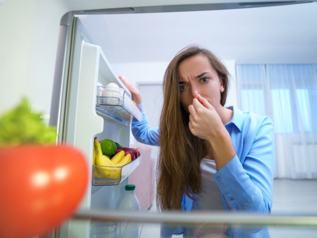 Mujer sosteniendo la nariz debido al mal desagradable olor de los alimentos estropeados en el refrigerador