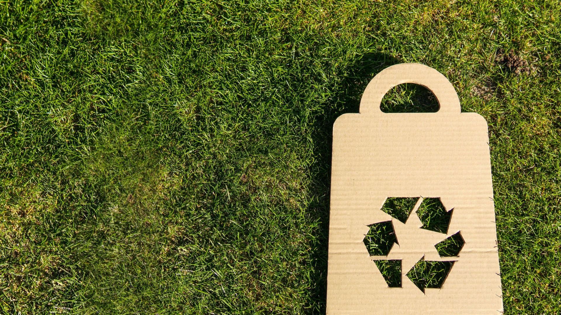 reciclar reutilizar y reducir
