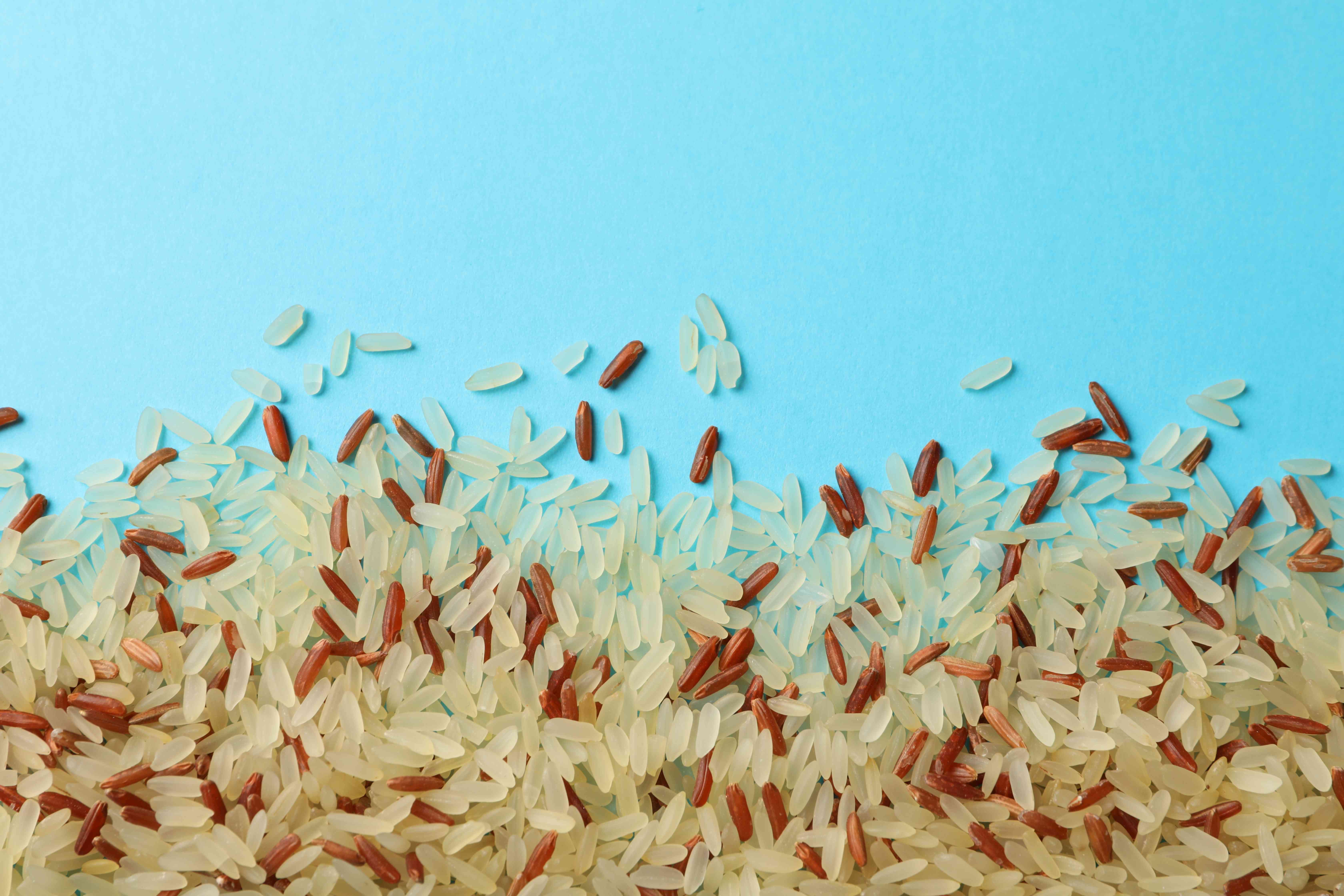 Arroz crudo sobre fondo azul, ilustrando la presencia de bichos en el arroz
