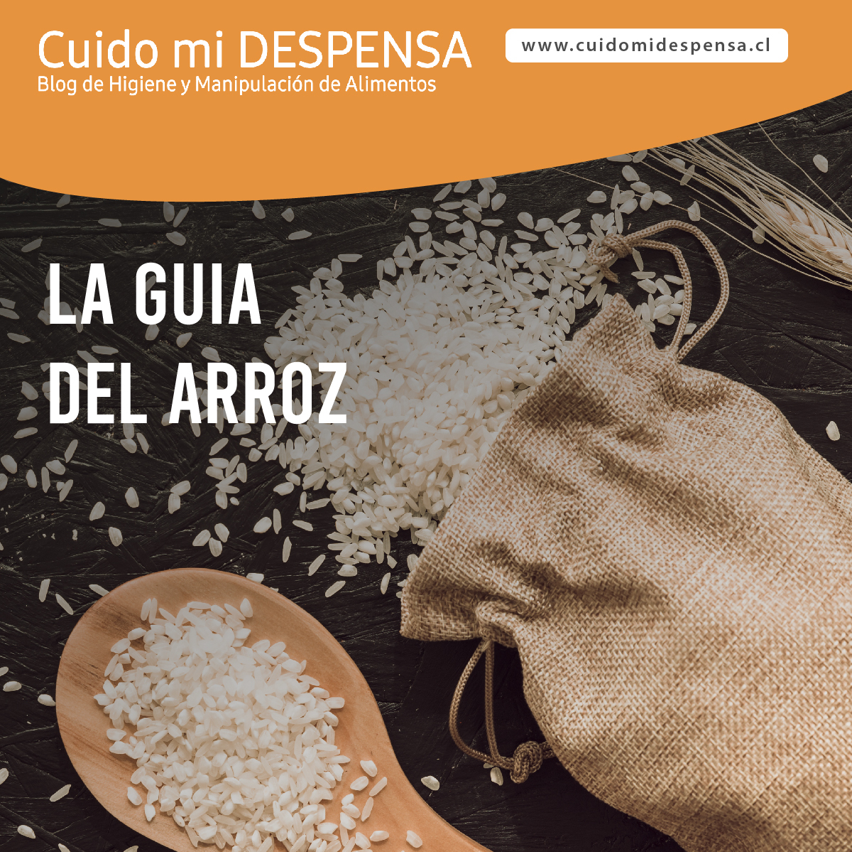 portada-arroz