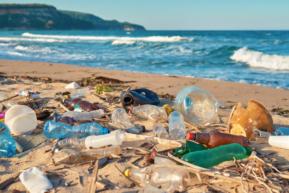 basura en la playa en la orilla del mar