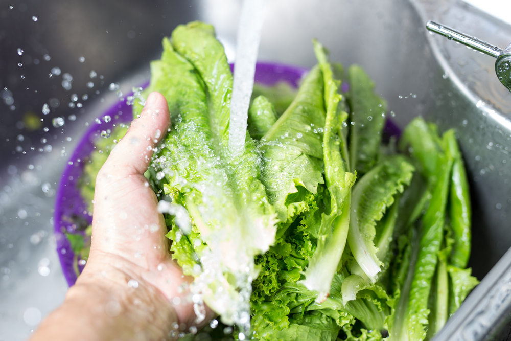 como lavar la lechuga con un chorro de agua