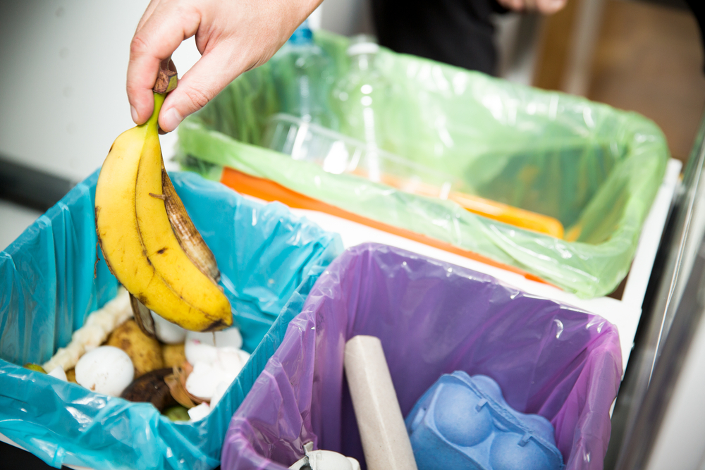 Un basurero de tres compartimientos para reciclaje. Una mano botando la cáscara de una banana